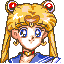 scoutsani.gif